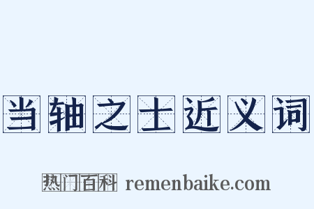 当轴之士近义词是什么意思的图片